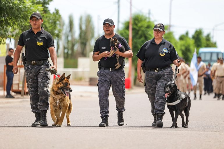 Policía de canes. 