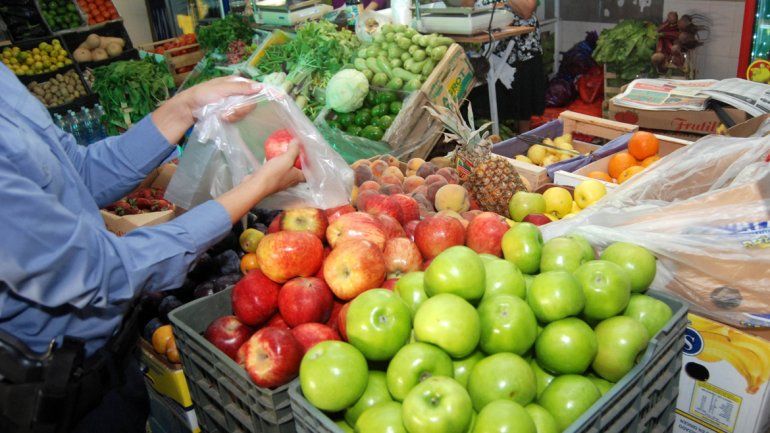 La producción orgánica sigue ganando terreno