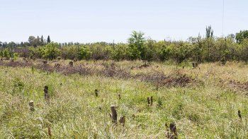 Resulta un contrasentido, pero en la inmensidad de la zona rural y de la estepa patagónica las tierras para viviendas son un bien escaso y cotizado en dólares. En la comuna, los gremios quieren más certezas sobre los loteos para municipales.