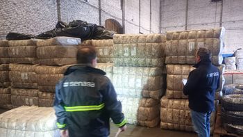 El primer cargamento de lana sucia salió desde Chubut hacia Uruguay bajo el nuevo esquema que permite a los productores vender directamente al exterior. | LMCipolletti.com El primer cargamento de lana sucia salió desde Chubut hacia Uruguay bajo el nuevo esquema que permite a los productores vender directamente al exterior.