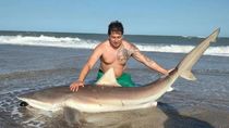 Boris, un amante de la pesca deportiva, se ha topado con otros grandes ejemplares como el de la foto de su perfil de facebook. Pero nunca un susto semejante... Boris, un amante de la pesca deportiva, se ha topado con otros grandes ejemplares como el de la foto de su perfil de facebook. Pero nunca un susto semejante...