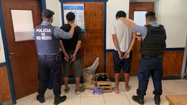 Los atraparon alrededor de las 7:30 con una bolsa tipo arpillera y un cajón repleto de verduras. | LMCipolletti.com Los atraparon alrededor de las 7:30 con una bolsa tipo arpillera y un cajón repleto de verduras.