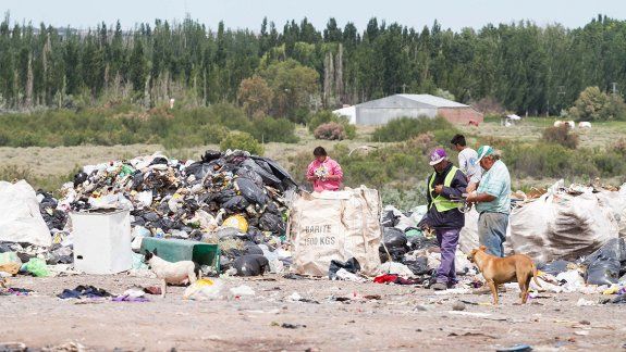 Prueba piloto: la separación de la basura arrancó a media máquina