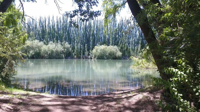 Turismo de Cercanía: el parque sobre el río Neuquén que parece de cordillera