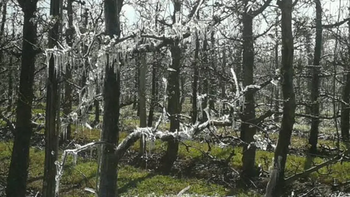 Las temperaturas podrían llegar a los 3º bajo cero.