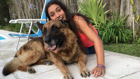 Se quiso sacar una foto con su perro y terminó desfigurada
