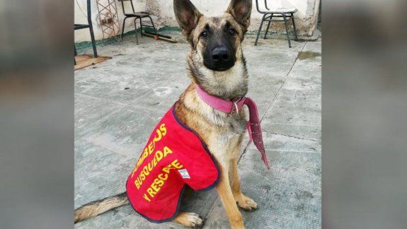 Continúa la búsqueda de Roma