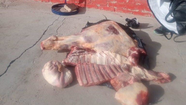 Decomisaron más de 400 kilos de carne transportada de manera irregular