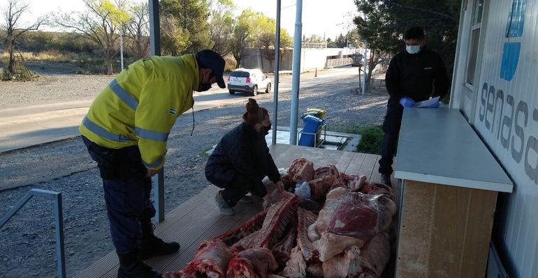 El Senasa y la Policía trabajan en conjunto para evitar el ingreso de carne.