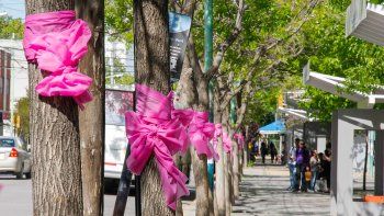El color rosa identifica la campaña para prevenir la enfermedad.