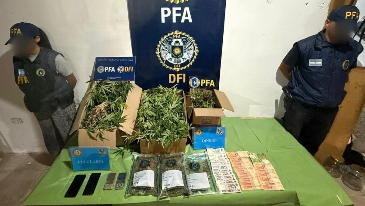 Más de 80 plantas, plantines, cogollos, balanzas, teléfonos y dinero secuestró la Policía Federal en Fernández Oro. Fue producto de una investigación iniciada hace meses.&nbsp; 