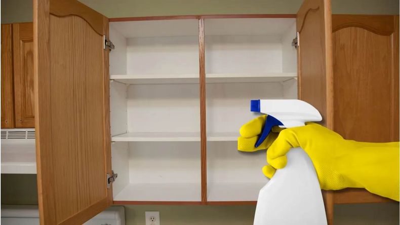 El vinagre ayuda a desinfectar superficies, neutralizar olores y prevenir la aparición de insectos y hongos. | LMCipolletti.com El vinagre ayuda a desinfectar superficies, neutralizar olores y prevenir la aparición de insectos y hongos.