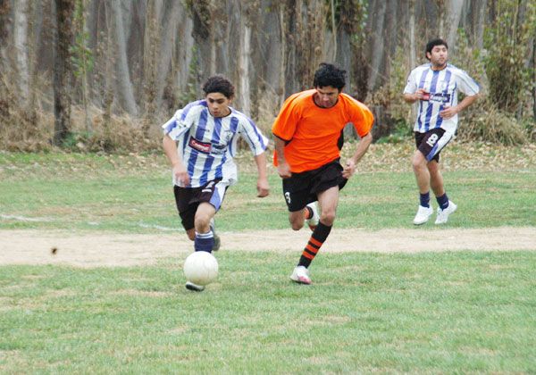 Udinese ganó y quedó sin compañía en la cima