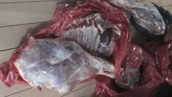 secuestran otra importante carga de carne ilegal