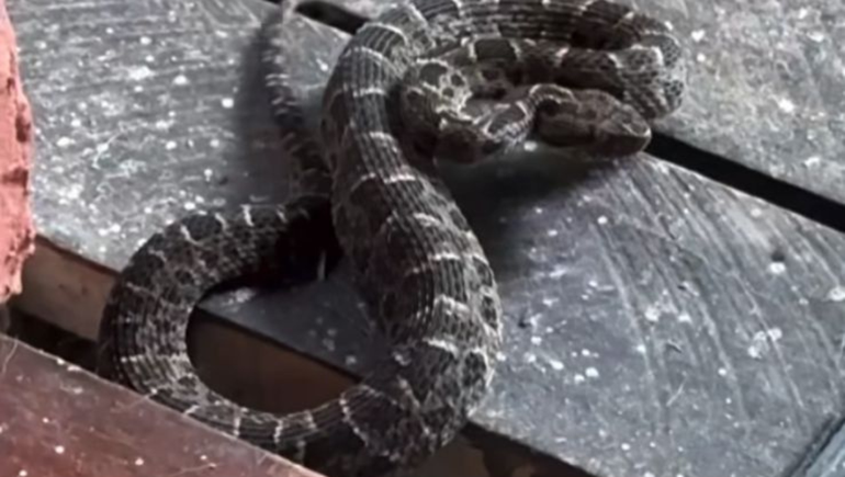 Una vecina de Fernández Oro