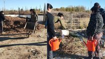 avanza el proyecto de reutilizacion de desechos de la poda de ramas