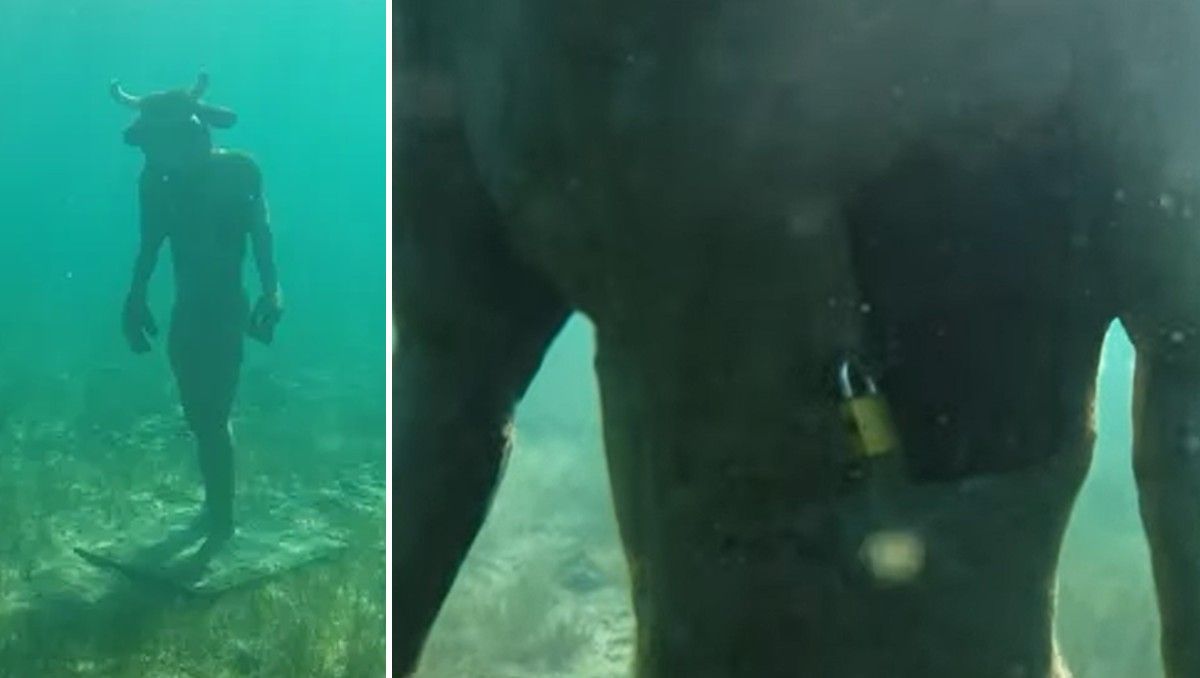Telenoche llegó al minotauro y crece el misterio