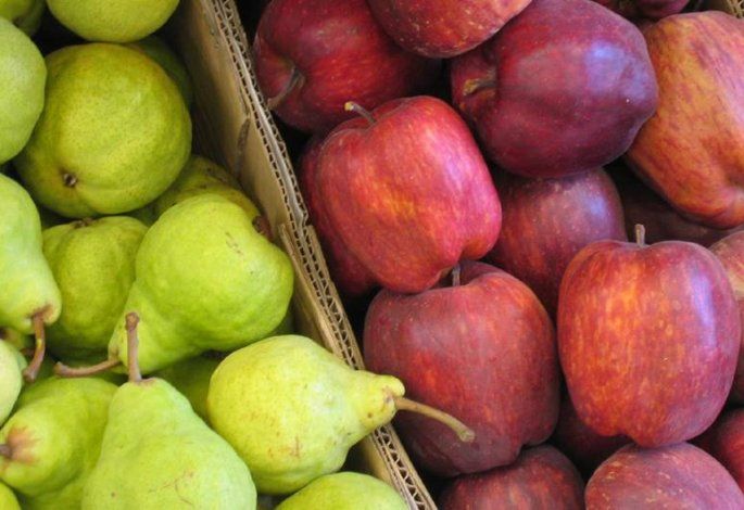 Fijaron los costos de producción en 0,37 centavos de dólar para peras y manzana