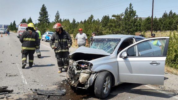 Se le metió una abeja en el auto y casi termina en una tragedia