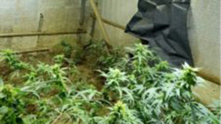 Lograron desarticular puntos de venta de droga tras gran operativo policial