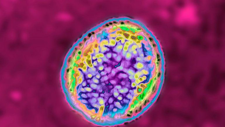 China: se fugó bacteria de un laboratorio y hay 3000 enfermos