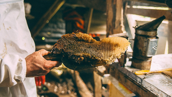 Distinta. Es una miel de color oscuro y su sabor, amargo. Foto: gentileza