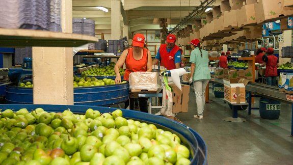 Trabajo verificó que se proteja a empleados