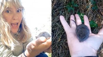 La influencer mostró el momento en redes sociales y generó polémica. Foto: Gentileza.