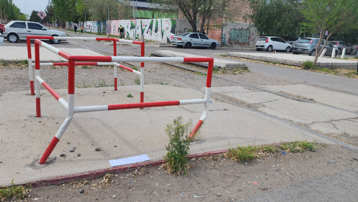 Estacionó el auto en las vías del tren y dejó a su perro adentro