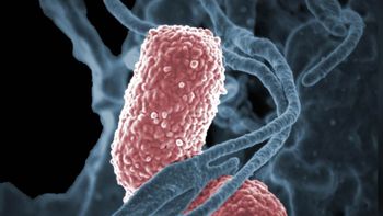 alerta por bacteria resistente a todos los antibioticos