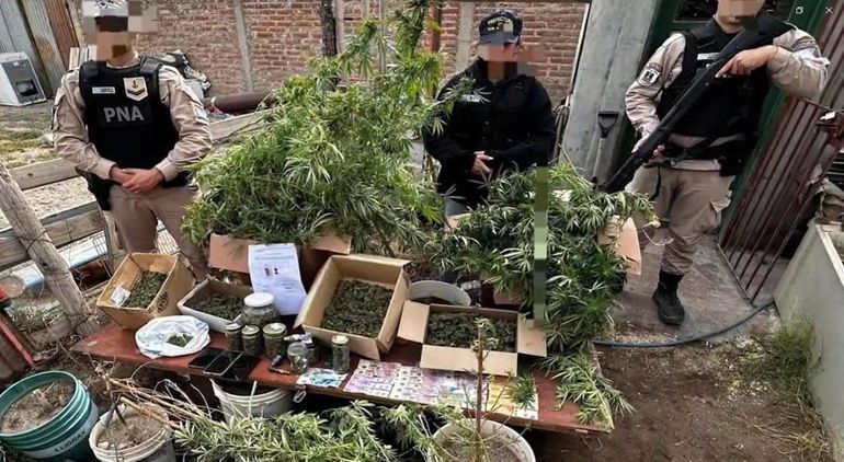 Efectivos de Prefectura Naval realizó el allanamiento en San Antonio y secuestró gran cantidad de plantas de marihuana.&nbsp;