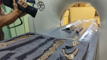Primera tomografía de restos fósiles en Río Negro Primera tomografía de restos fósiles en Río Negro