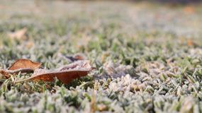 El Pronóstico anunció la llegada de las primeras heladas a la región. | LMCipolletti.com El Pronóstico anunció la llegada de las primeras heladas a la región.
