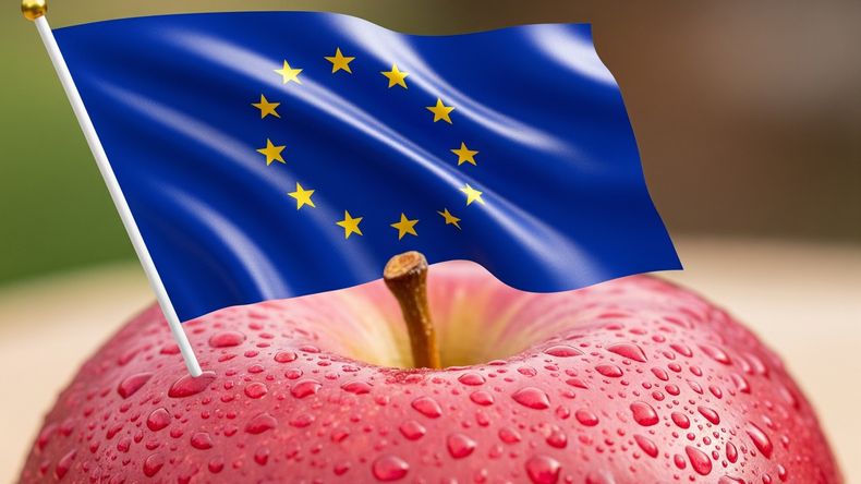 El hemisferios sur se reposiciona como principal abastecedor de manzanas de la UE en contraestación.