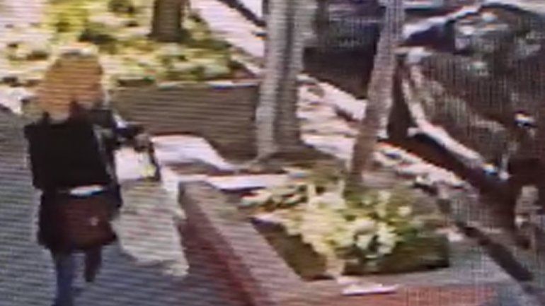 Pasó caminando, le gustó la planta de una casa y se la robó en Neuquén: quedó graba