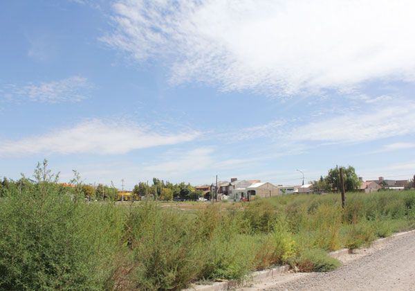 Quejas por mal estado de un terreno baldío