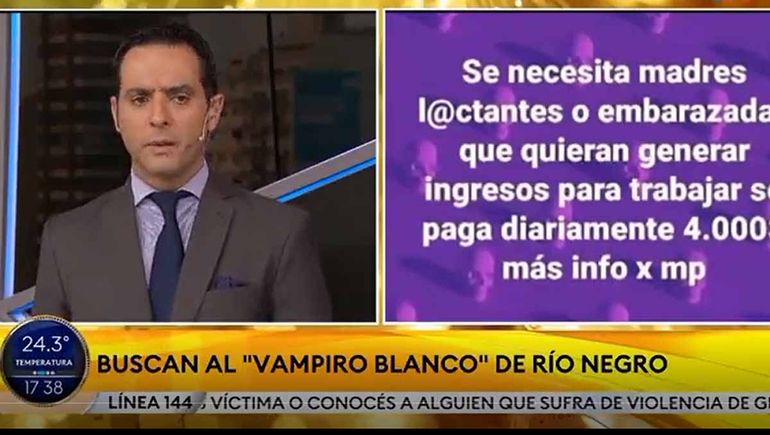 Periodista de TN se tentó por el vampiro blanco rionegrino y lo sacaron del aire