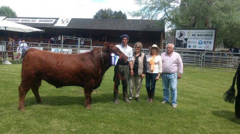 Un toro de Luis Beltrán, campeón en la quinta Expo Bovina de Neuquén