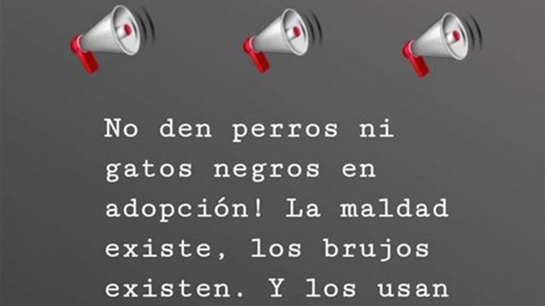Por los rituales de Halloween, proteccionista se niegan a dar en adopción a perros y gatos negros