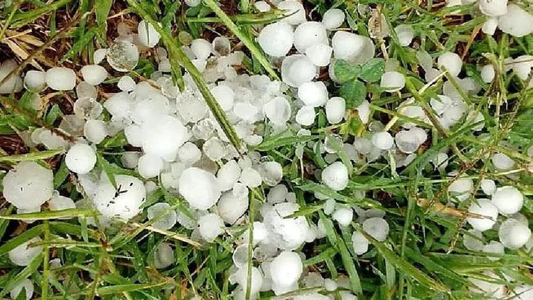 La zona más afectada prácticamente está entre Cipolletti y Paso Córdoba, General Roca. 