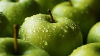 la cosecha de manzanas en europa sufrio una fuerte caida