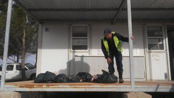 llevaba carne en bolsas de basura y le decomisaron todo
