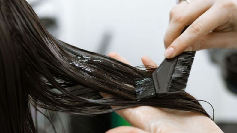 La medida se oficializó este jueves a través del Boletín Oficial. | LMCipolletti.com La medida se oficializó este jueves a través del Boletín Oficial.