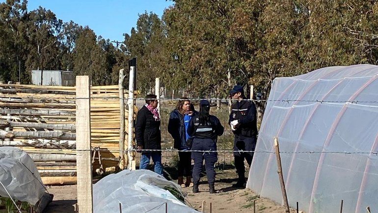 Bronca: familias sembraban sus propios alimentos y les robaron