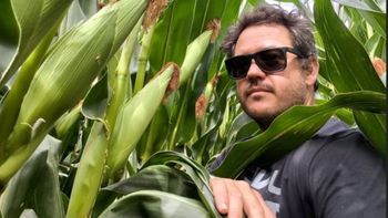 De 8.000 a 17.500 kilos por hectárea: la apuesta al maíz de Río Negro | LMCipolletti.com De 8.000 a 17.500 kilos por hectárea: la apuesta al maíz de Río Negro