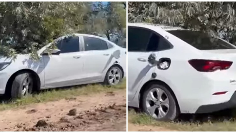 Por el momento no se conocen las circunstancias de la muerte de ambos.