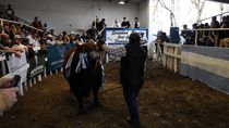 expo rural de conesa: debate por la barrera sanitaria