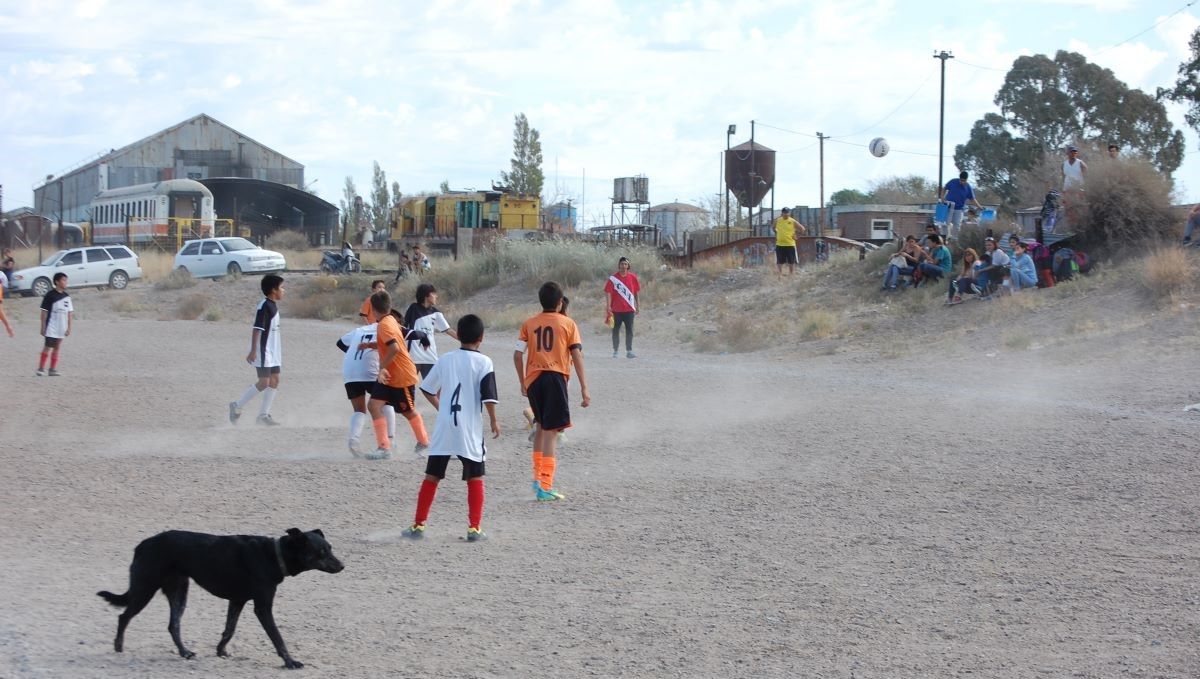 La denuncia contra el DT de fútbol infantil la presentó la mamá de un menor en la Comisaría de la Familia de San Antonio Oeste.&nbsp;