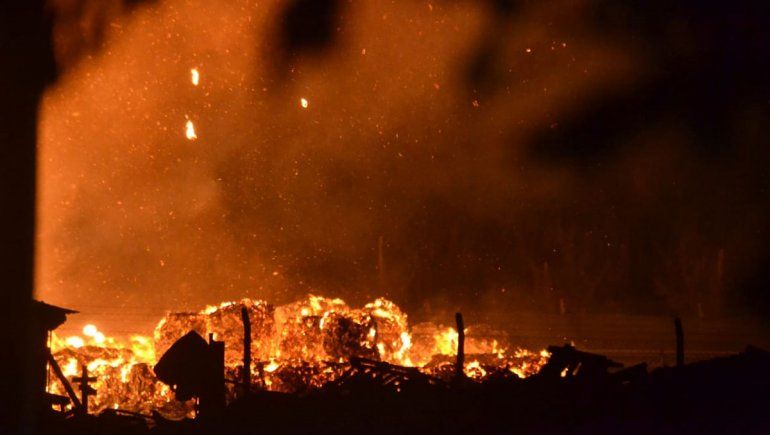 En fotos: el voraz incendio de la papelera de la Ruta 151