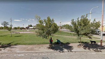 temor por perros callejeros que atacaron a una nena de 4 anos